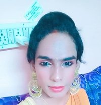 Ziya - Transsexual escort in Chennai