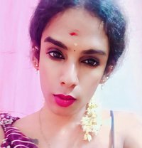 Ziya Shemale Chennai - Transsexual escort in Chennai