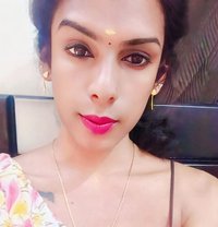 Ziya Shemale Chennai - Transsexual escort in Chennai