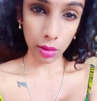 Ziya Shemale - Acompañantes transexual in Chennai