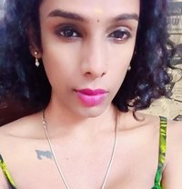 Ziya Shemale - Acompañantes transexual in Chennai