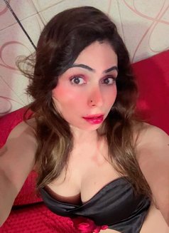 Ziya T Girl - Transsexual escort in Mumbai Photo 9 of 9