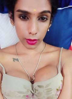 Ziya Top Shemale - Transsexual escort in Chennai Photo 1 of 2