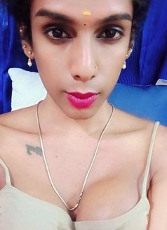 Ziya Top Shemale - Transsexual escort in Chennai Photo 2 of 2