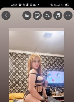 Zizi Shemale - Intérprete transexual de adultos in Bali Photo 9 of 14