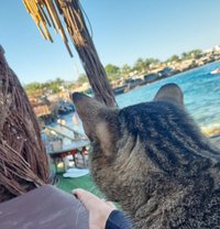 Ziziiii - escort in Cairo