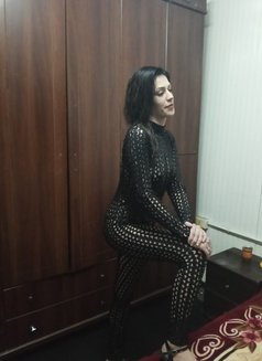 Zizo - escort in Beirut Photo 3 of 3