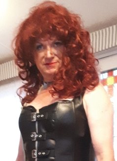 ZoëTS - Transsexual escort in Preston Photo 9 of 16