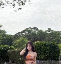 Zoey Chen - Transsexual escort in Angeles City
