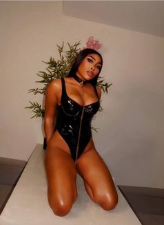 Zoey - escort in Dubai Photo 1 of 4