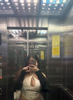 Zomzom Curvy Cutie Thai GFE I’m not fake - escort in Bangkok Photo 13 of 13