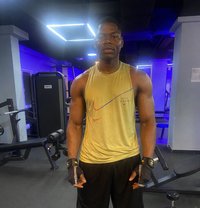 Zoomfat - Male escort in Doha