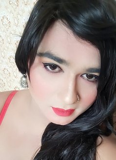 Zoya Khan - Transsexual escort in Ahmedabad Photo 1 of 4