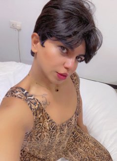 Zoza - Transsexual escort in Cairo Photo 3 of 5