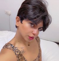Zoza - Transsexual escort in Cairo