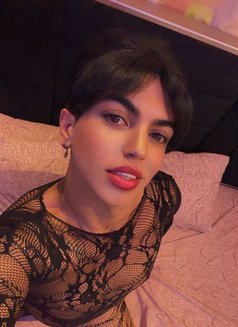 Zoza - Acompañantes transexual in Cairo Photo 7 of 8