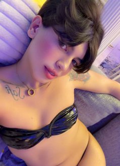Zoza - Transsexual escort in Cairo Photo 12 of 12