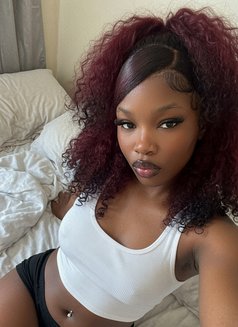 Zuri Bloom available 4pm -1am - escort in Abu Dhabi Photo 13 of 13