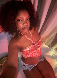 Zuri Bloom squirter and pegger - escort in Abu Dhabi Photo 15 of 15