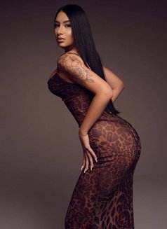 ️Zuzu Brazilia - escort in Beirut Photo 5 of 12