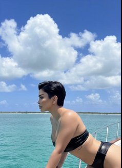 Zuzu Offcial🇹🇷‍ - escort in Al Manama Photo 15 of 29