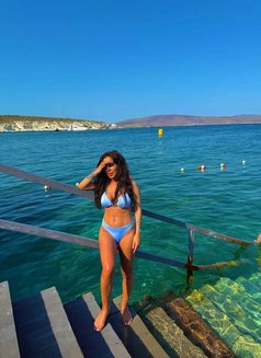 Türk Lokumu Zuzu - puta in Dubai Photo 1 of 4