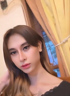 Zyzylee - Transsexual escort in Bali Photo 1 of 1